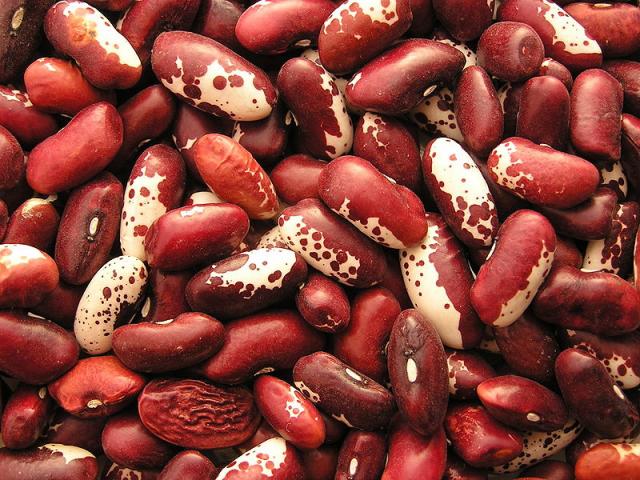 Common Beans