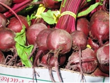 how to grow Beets