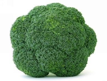 how to grow Broccoli