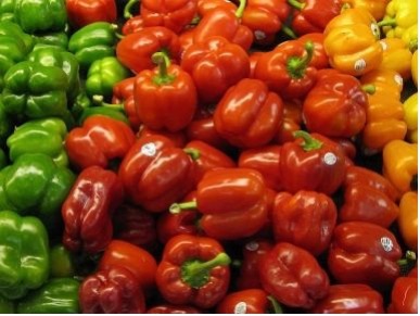 how to grow Sweet Bell Peppers