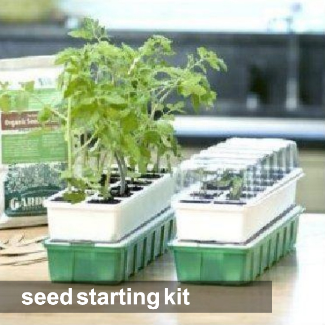 seed starting kit
