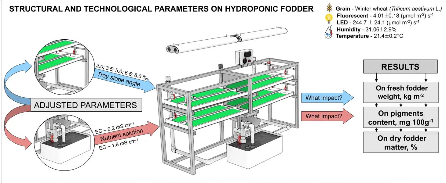 Setting Up Your Hydroponic Fodder System: A Step-by-Step Guide